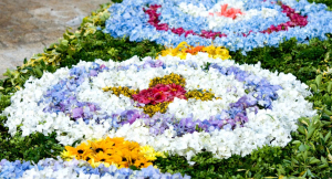 Passadeiras de flores na Solenidade do Corpo de Deus