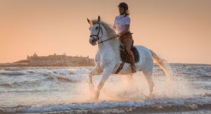 Percursos Temáticos- PASSEIOS A CAVALO