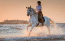 Percursos Temáticos- PASSEIOS A CAVALO