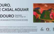 Exposição "Douro" por Casal de Aguiar