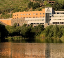 Douro River Hotel &amp; Spa****