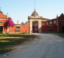 Casa de Sezim - Turismo de Habitação