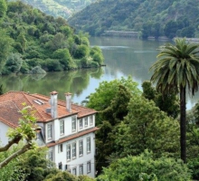 Alojamento Turístico - Quinta e Casa da Ermida