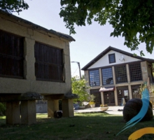 Restaurante Quinta da Petisqueira