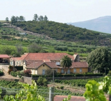 Finca de Monte Travesso