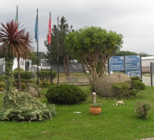 Salgueiros Campsite