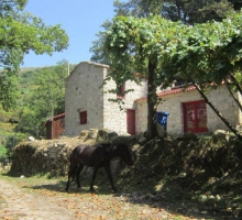 Casa da Picoto