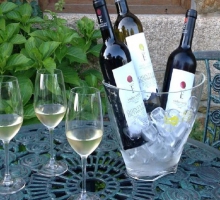 Quinta das Escomoeiras - Wine Tourism