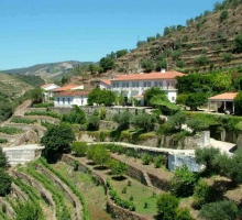 Finca de Panascal