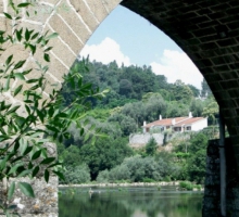 Quinta da Prova / Casa das Oliveiras