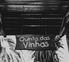 Quinta das Vinhas