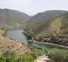 Quinta do Cachão