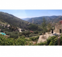 QUINTA DAS FONTAINHAS - DOURO VALLEY