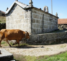 Aldeia de Vale de Papas