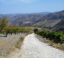 Almond Route – PR3